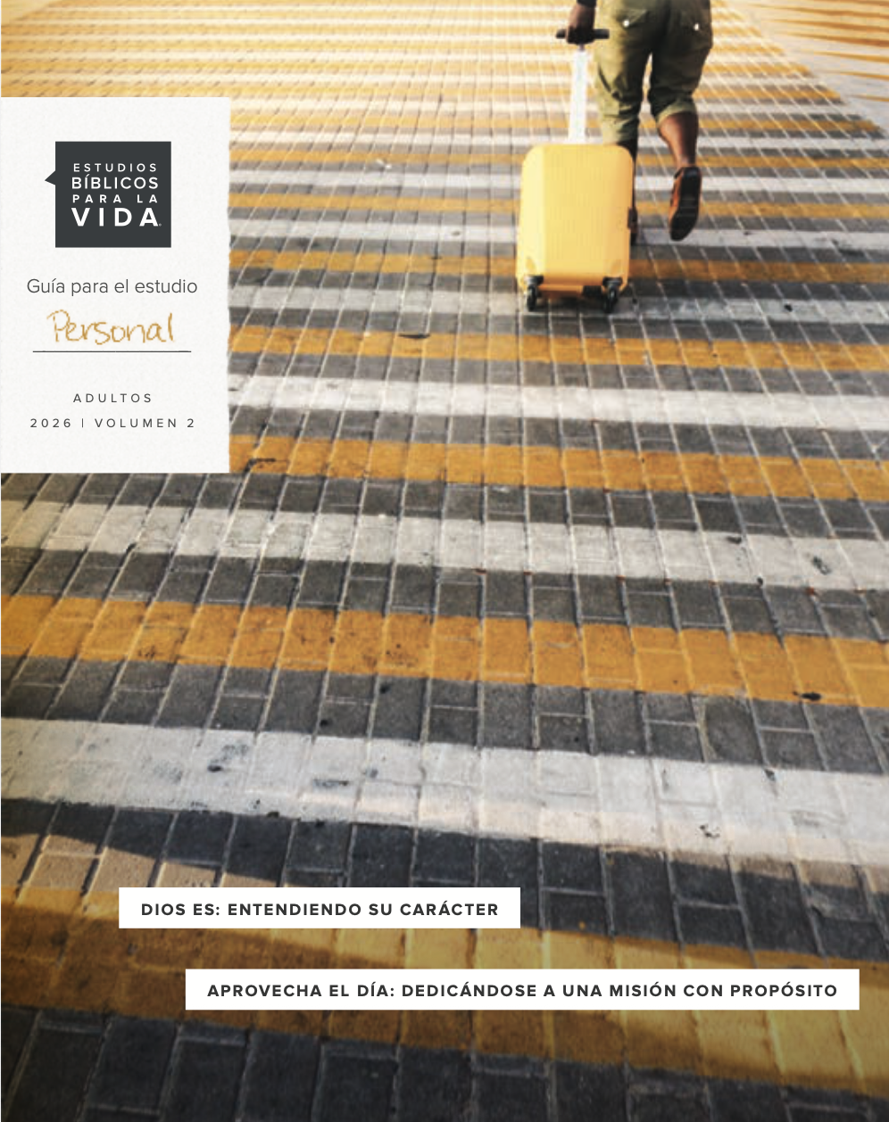 Screenshot 2026-02-16 at 7.08.13 PM